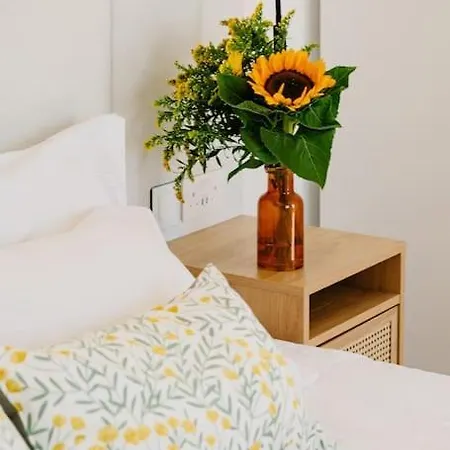 Lägenhet Main Street Luxury 13 With Shared Rooftop Pool & Bbq