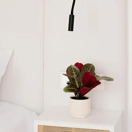 Main Street Luxury 13 With Shared Rooftop Pool & Bbq Appartamento